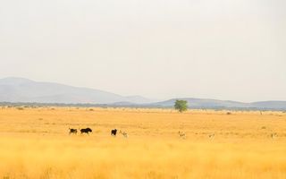 Farm For Sale in Windhoek Central