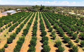 Farm For Sale in Windhoek Central