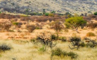 Farm For Sale in Windhoek Central