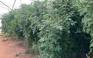 Small Holding / Plot For Sale in Okahandja