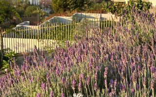 4 Bedroom House For Sale in Auasblick, Windhoek