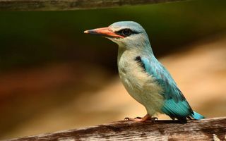 Hospitality For Sale in Rundu