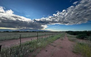 Farm For Sale in Wilhelmstal