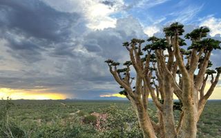 Farm For Sale in Wilhelmstal