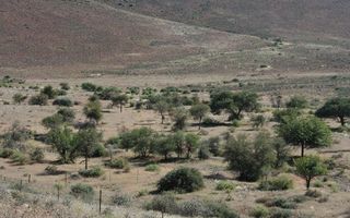 4 Bedroom Farm For Sale in Bethanien, Namibia