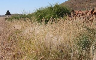 4 Bedroom Farm For Sale in Bethanien, Namibia