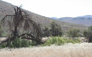 4 Bedroom Farm For Sale in Bethanien, Namibia