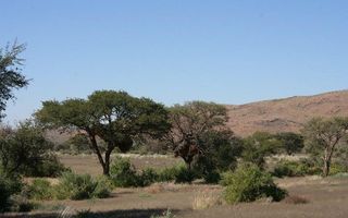 4 Bedroom Farm For Sale in Bethanien, Namibia