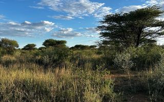 Farm For Sale in Hochfeld