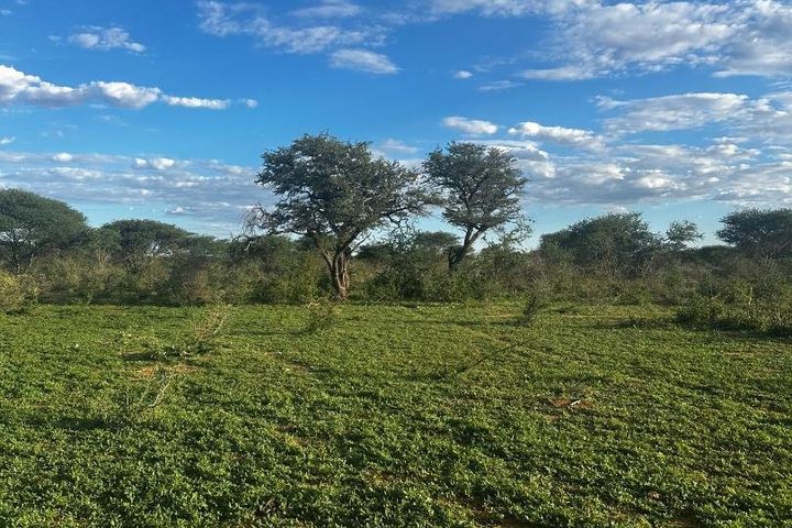 Farm For Sale in Hochfeld