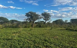 Farm For Sale in Hochfeld