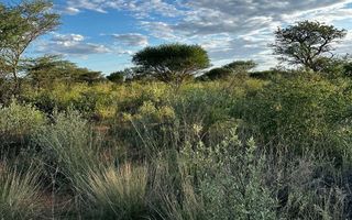 Farm For Sale in Hochfeld