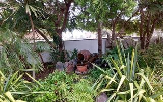 4 Bedroom House For Sale in Vineta, Swakopmund