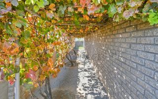 5 Bedroom House For Sale in Outjo