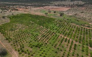 Farm For Sale in Outjo