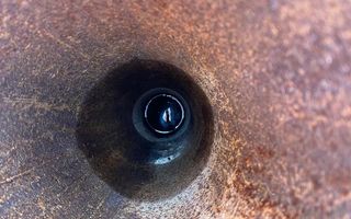 Farm For Sale in Outjo