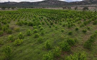 Farm For Sale in Outjo