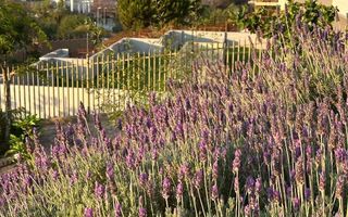 4 Bedroom House For Sale in Auasblick, Windhoek