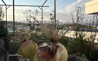 4 Bedroom House For Sale in Auasblick, Windhoek