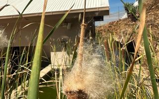 4 Bedroom House For Sale in Auasblick, Windhoek