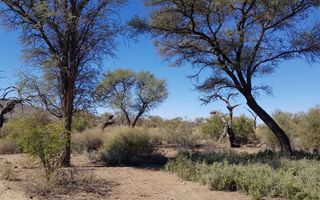 Small Holding / Plot For Sale in Okahandja