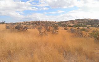 Small Holding / Plot For Sale in Usakos