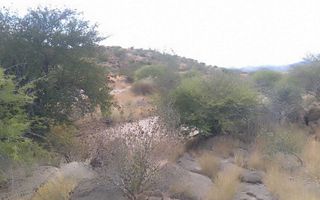 Small Holding / Plot For Sale in Usakos