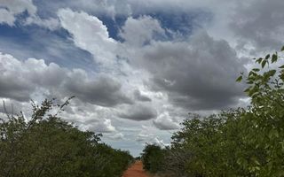 Farm For Sale in Khorixas