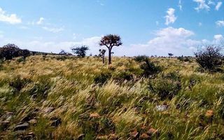 Farm For Sale in Keetmanshoop