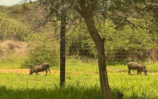 Small Holding / Plot For Sale in Hochfeld