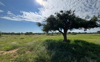 Small Holding / Plot For Sale in Hochfeld