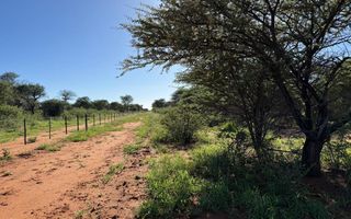 Small Holding / Plot For Sale in Hochfeld