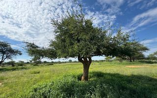 Small Holding / Plot For Sale in Hochfeld