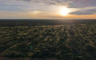 Small Holding / Plot For Sale in Hochfeld