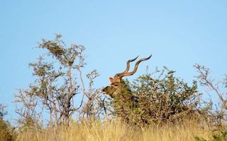 Farm For Sale in Keetmanshoop