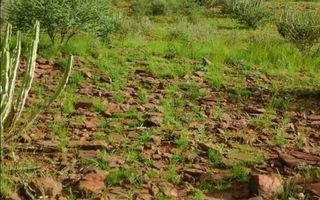 Farm For Sale in Keetmanshoop