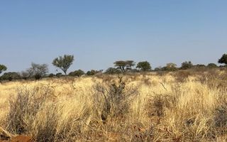 Farm For Sale in Hochfeld