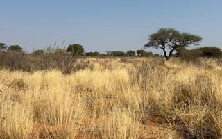 Farm For Sale in Hochfeld