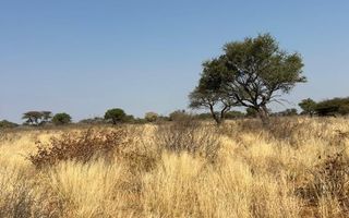 Farm For Sale in Hochfeld