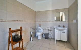 4 Bedroom Small Holding / Plot For Sale in Otavi