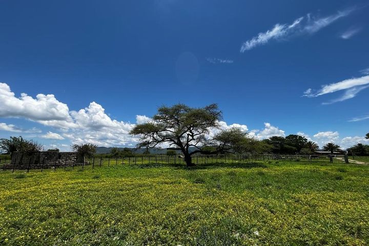 Small Holding / Plot For Sale in Otavi