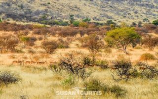 15 Bedroom Farm For Sale in Dordabis