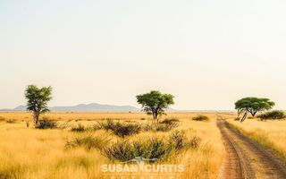 15 Bedroom Farm For Sale in Dordabis