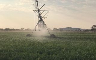 15 Bedroom Farm For Sale in Dordabis