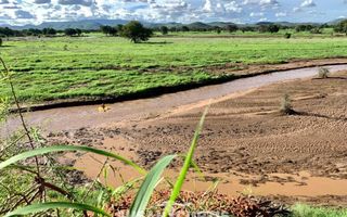 15 Bedroom Farm For Sale in Dordabis