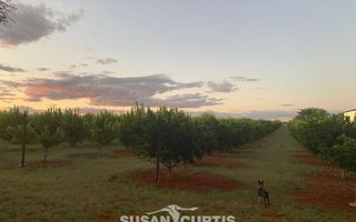 15 Bedroom Farm For Sale in Dordabis