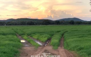 15 Bedroom Farm For Sale in Dordabis