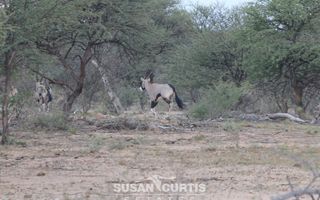 20 Bedroom Hospitality For Sale in Omaruru