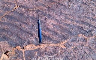 29 Bedroom Hospitality For Sale in Aus