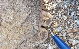 29 Bedroom Hospitality For Sale in Aus